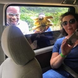 Guided-Jamaican-Tour-Costs